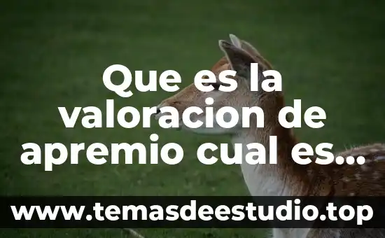 Que es la valoracion de apremio cual es su articulo