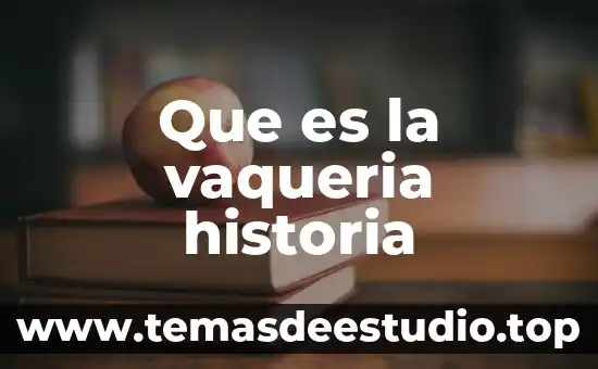 Que es la vaqueria historia