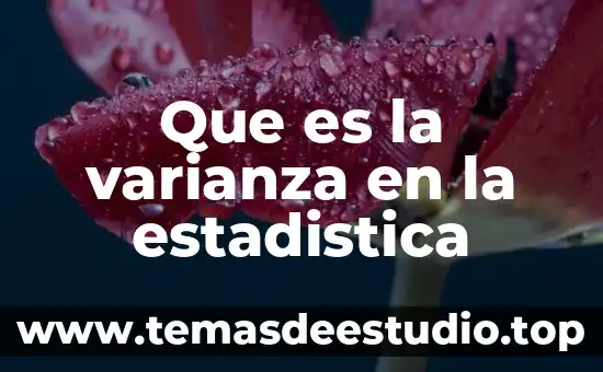 Que es ayuntarse con un animal 5 Que es la varianza en la estadistica