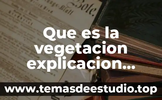 Qué es realidad social 7 Que es la vegetacion explicacion para niños