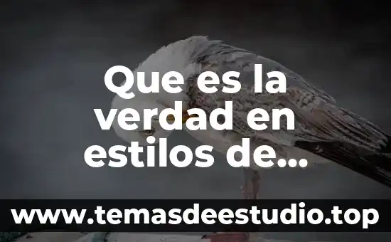Que es una categoria en los estilos de aprendizaje 3 Que es la verdad en estilos de aprendizaje