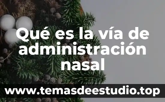 Qué es la vía de administración nasal