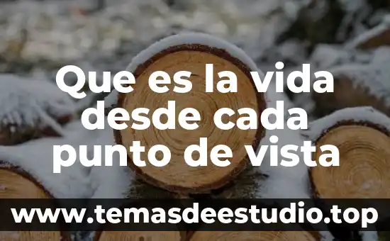 Que es una idea desde el punto de vista empresarial 5 Que es la vida desde cada punto de vista