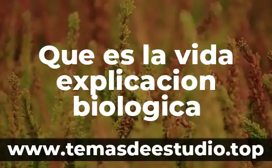 Explicacion de que es energia y movimiento con ecuaciones 3 Que es la vida explicacion biologica