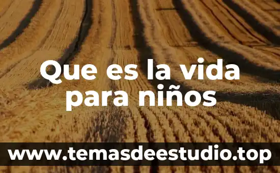 Para que es el metamizol sodico en niños 8 Que es la vida para niños