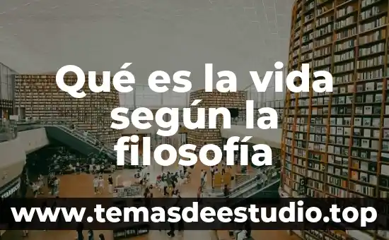 Que es ser fejado 4 Qué es la vida según la filosofía