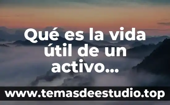 Para que es util el simbolo del sistema 8 Qué es la vida útil de un activo matemática financiera