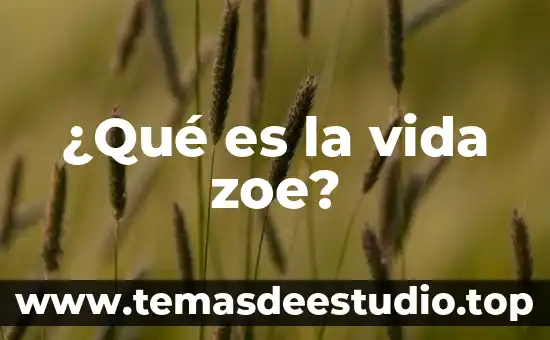 ¿Qué es la vida zoe?