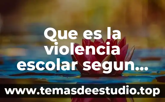 Qué es supervisión según autores 7 Que es la violencia escolar segun sautores