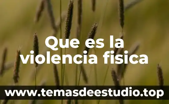 Que es la violencia fisica