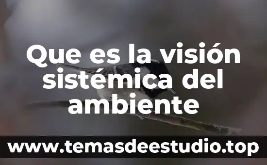 Que es una politica sistemica 7 Que es la visión sistémica del ambiente