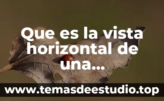 Que es historia desde el punto de vista enciclopedico 4 Que es la vista horizontal de una organizacion
