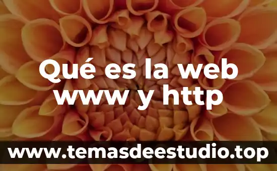Qué es la web www y http