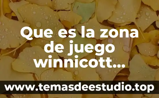 Que es la zona de juego winnicott yahoo