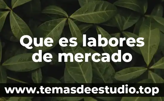 Que es un mapa mental en estructura y contenido 8 Que es labores de mercado