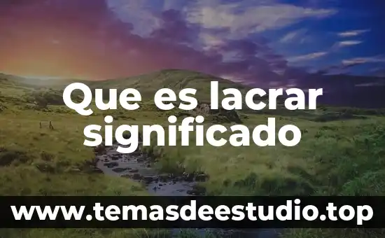 Qué es un tapete de felpa significado 6 Que es lacrar significado
