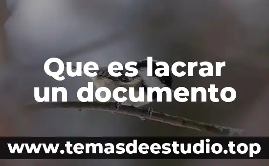 Qué es un documento as is 3 Que es lacrar un documento