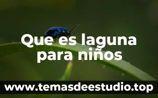 Que es educacion concepto para niños 7 Que es laguna para niños