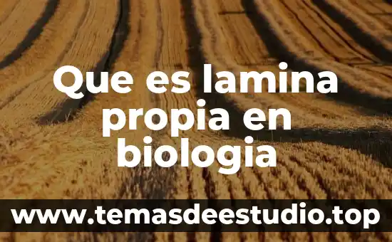 Qué es unicelular biología 7 Que es lamina propia en biologia