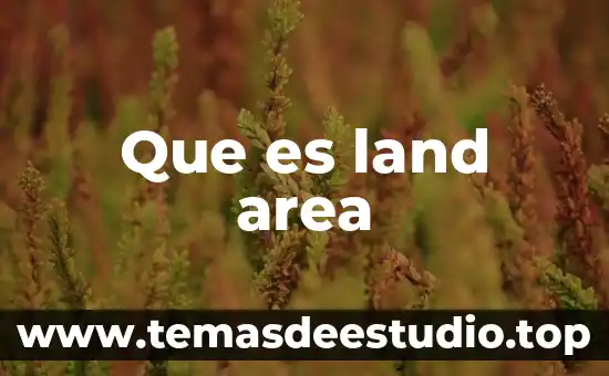 Qué es un área de intervención concepto 6 Que es land area