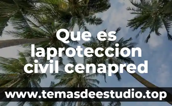 Qué es una sociedad civil Susana Dávalos 4 Que es laproteccion civil cenapred