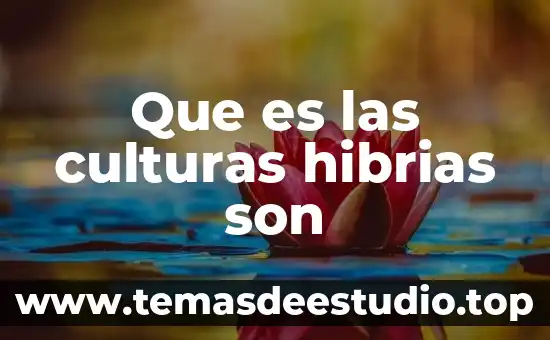 Por que es importante ampliar el conocimiento sobre las culturas 8 Que es las culturas hibrias son