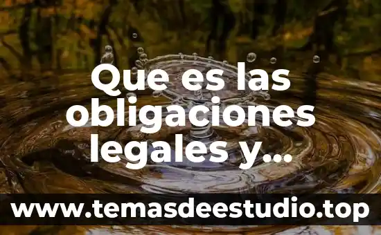 Que es una guerra legales e ilegales concepto 4 Que es las obligaciones legales y fiscales de los liquidadores