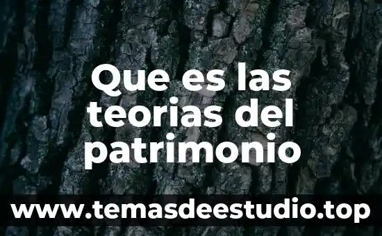 Que es un a casa 4 Que es las teorias del patrimonio