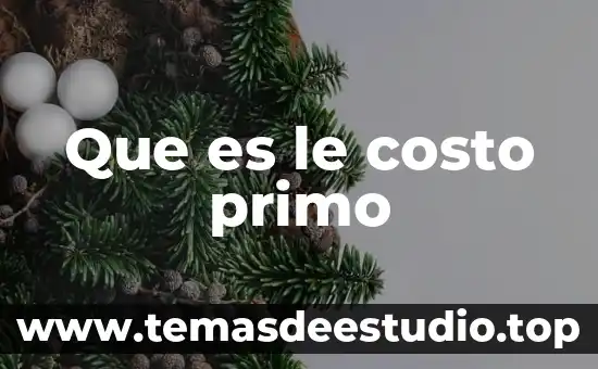 Que es el costo primo en contabilidad de costos 4 Que es le costo primo