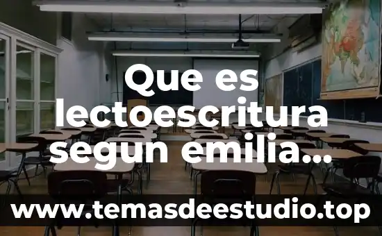 Que es lectoescritura segun emilia ferreiro