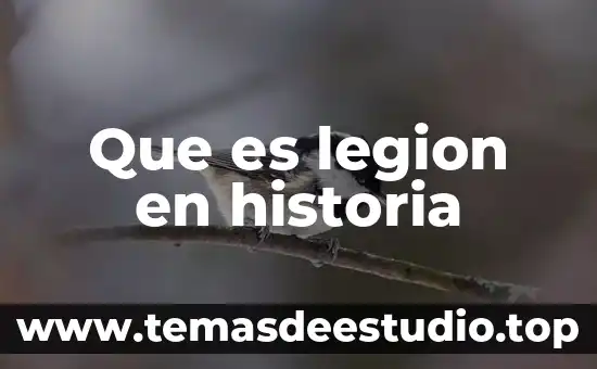 Que es una variante de una historia 5 Que es legion en historia