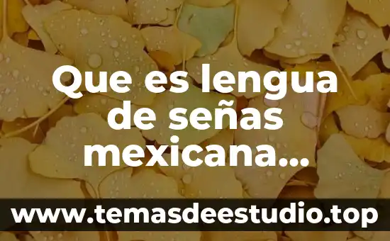 Lenguaje de señas que es 4 Que es lengua de señas mexicana segun la oms