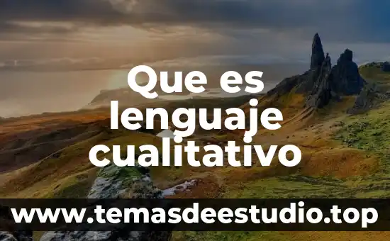 Qué es el proceso cualitativo de la investigación 5 Que es lenguaje cualitativo