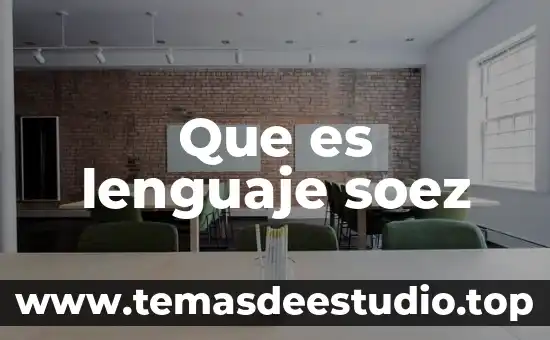 Que es lenguaje soez