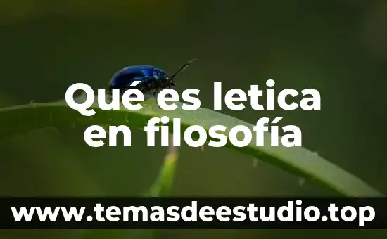 Que es el humanismo segun la filosofia 8 Qué es letica en filosofía