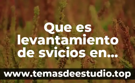 Que es levantamiento de svicios en trabajo social