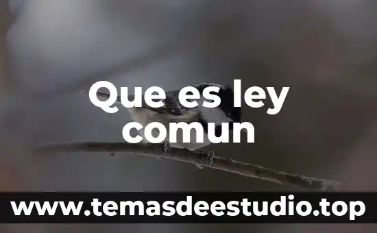 Definición que es la ley 3 Que es ley comun