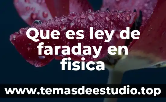 Que es ley de faraday en fisica