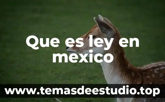 Que es la firma electronica avanzada en mexico 6 Que es ley en mexico