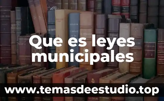 Que es leyes municipales