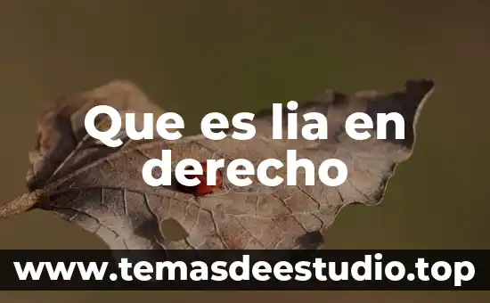 Que es lia en derecho