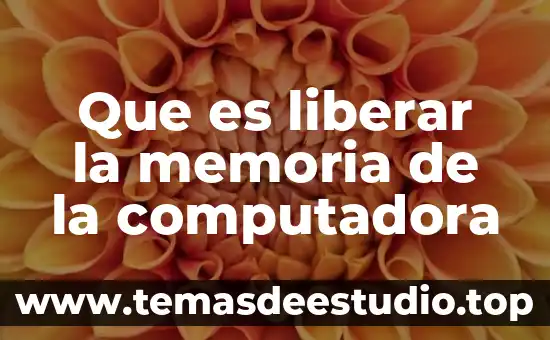 Que es liberar la memoria de la computadora