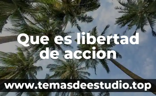 Que es libertad de accion