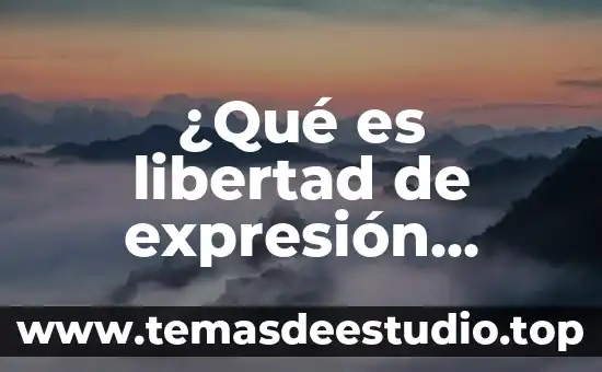 Que es el mieloma multiple diagnostico nivel iii 4 ¿Qué es libertad de expresión definición para nivel primaria?