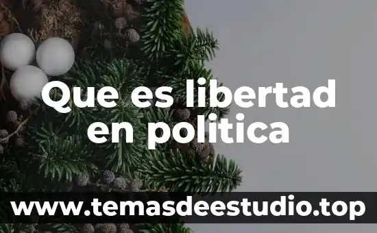 Que es decision politica 5 Que es libertad en politica