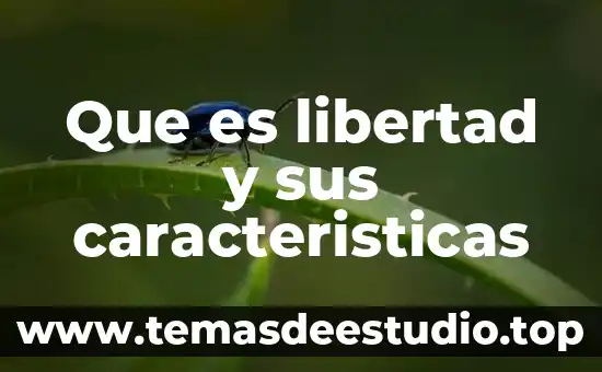 Que es subdesarrollo economico y sus caracteristicas 3 Que es libertad y sus caracteristicas