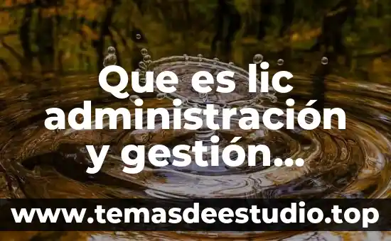 Que es lic administración y gestión empresarial