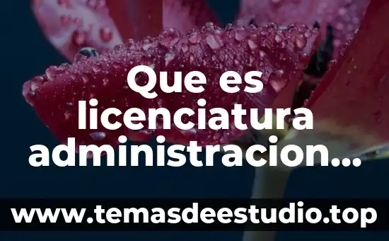Que es licenciatura administracion y finanzas
