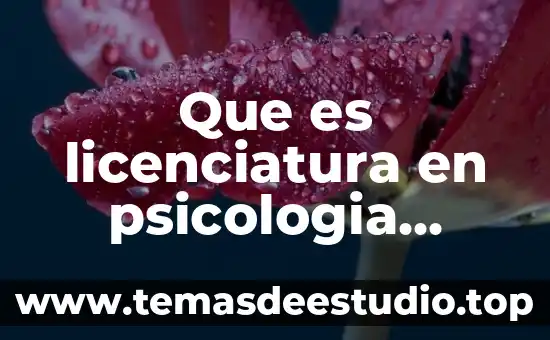 Que es diada en psicologia 4 Que es licenciatura en psicologia organizacional de que trata