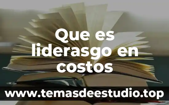 Que es la determinacion de costos 8 Que es liderasgo en costos